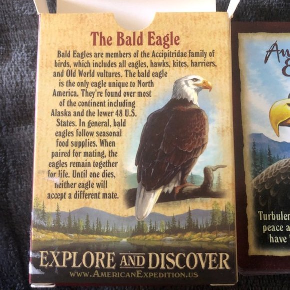 Deck of Playing Cards Bald Eagle Endangered Species Wildlife Bundle Price - Picture 3 of 4